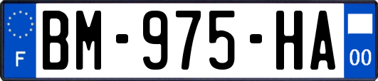 BM-975-HA