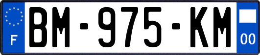 BM-975-KM