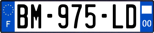 BM-975-LD