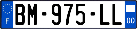 BM-975-LL