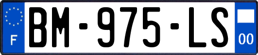 BM-975-LS