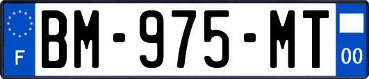 BM-975-MT