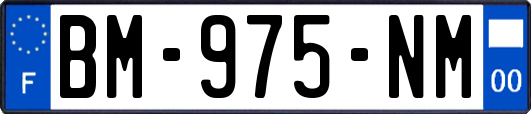 BM-975-NM