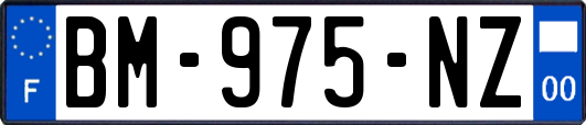 BM-975-NZ