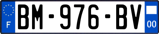 BM-976-BV