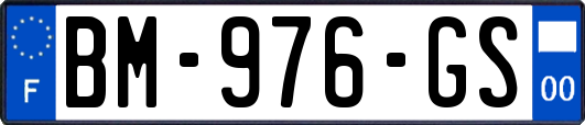 BM-976-GS