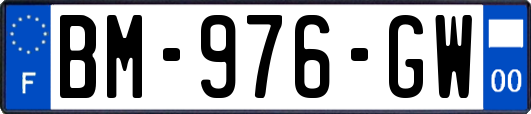 BM-976-GW