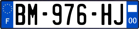 BM-976-HJ