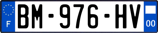 BM-976-HV