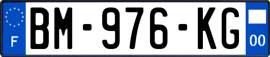 BM-976-KG