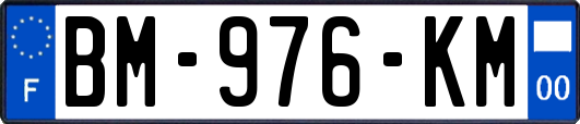 BM-976-KM