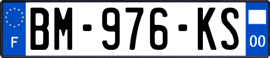BM-976-KS