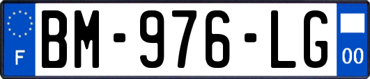 BM-976-LG