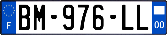 BM-976-LL