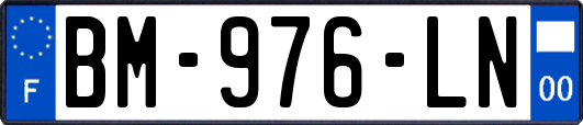 BM-976-LN