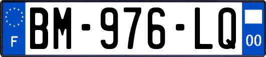 BM-976-LQ
