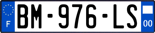 BM-976-LS