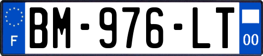 BM-976-LT