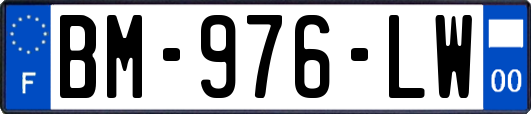 BM-976-LW