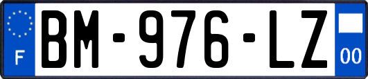 BM-976-LZ