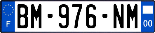 BM-976-NM