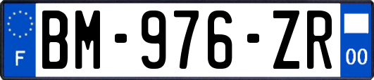 BM-976-ZR