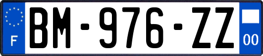 BM-976-ZZ