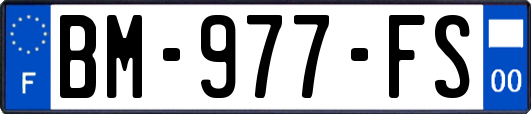 BM-977-FS