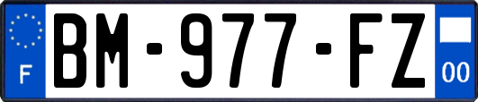 BM-977-FZ