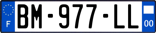 BM-977-LL