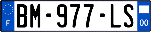 BM-977-LS