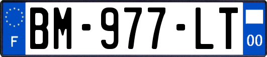 BM-977-LT