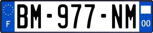 BM-977-NM