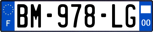 BM-978-LG