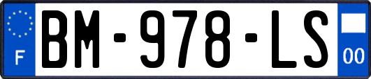 BM-978-LS