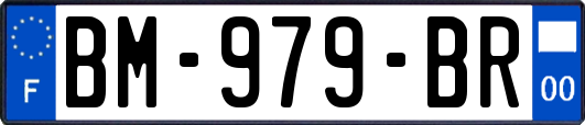 BM-979-BR