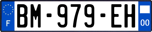 BM-979-EH