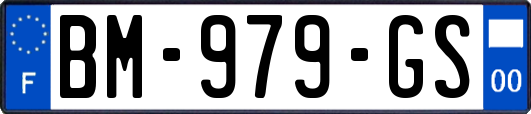 BM-979-GS