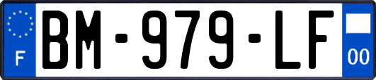 BM-979-LF