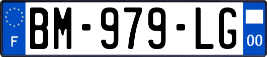 BM-979-LG