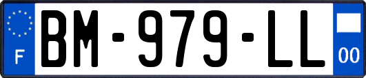 BM-979-LL