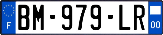 BM-979-LR