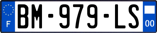 BM-979-LS