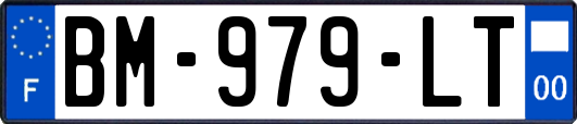 BM-979-LT