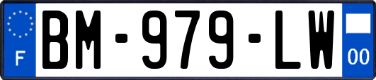 BM-979-LW