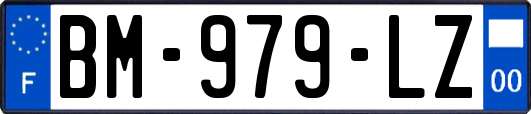 BM-979-LZ