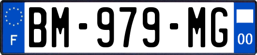 BM-979-MG