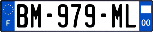 BM-979-ML