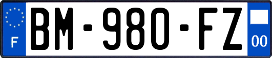 BM-980-FZ