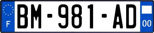 BM-981-AD